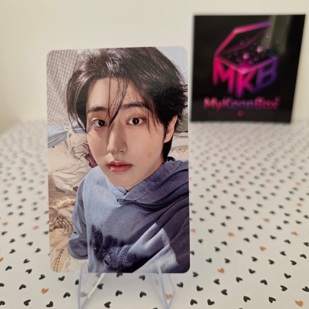 STRAY KIDS - Stay in Our Little House - Photocard