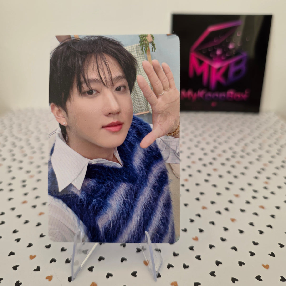 STRAY KIDS - Stay in Our Little House - Photocard