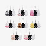 STRAY KIDS - PRECOMMANDE - RUN IT SEOUL SKZOO SECRET PLUSH MICRO Ver.